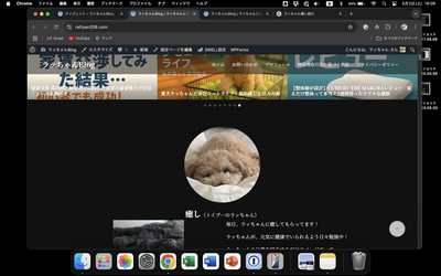 スクリーンショット 2025 05 03 18.09.50