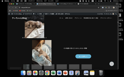 スクリーンショット 2025 05 03 18.10.00