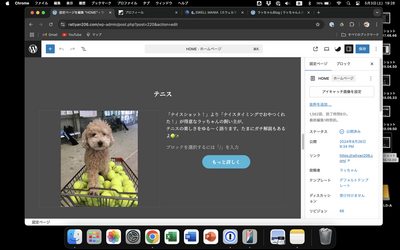 スクリーンショット 2025 05 03 19.28.56
